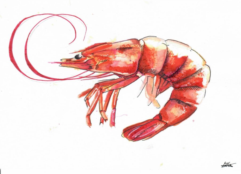 Zapálené páže holí, obrázek k článku